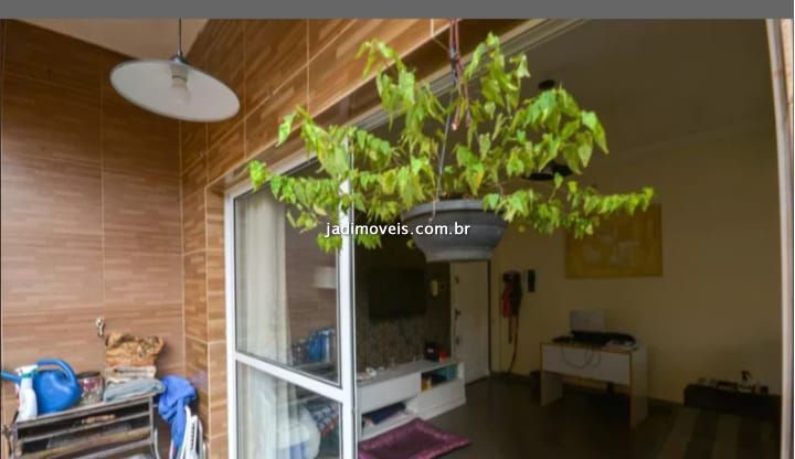 Apartamento Cambuci 1 dormitorios 1 banheiros 0 vagas na garagem